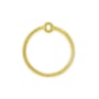 Etched 30mm Round Hoop Charm Satin Gold