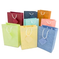 Assorted Pastel 4x6 Tote Gift Bags (20-Pcs)