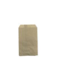 Gift Bag Kraft 4x6 (100-Pcs)