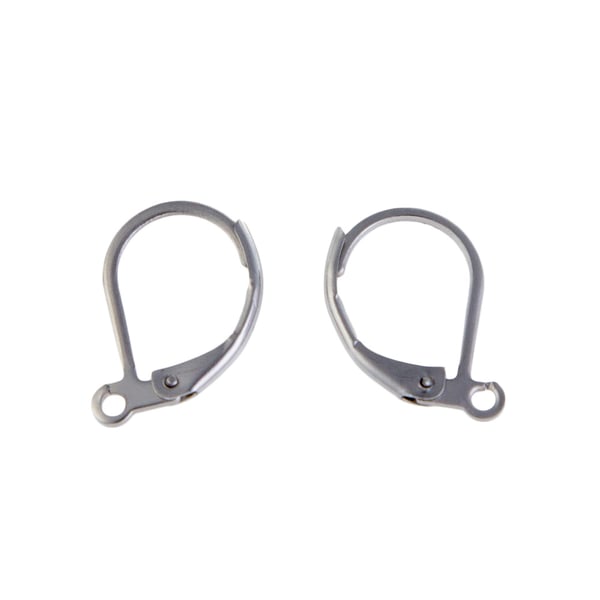 Lever Back Earring 15.5x10mm Surgical Stainless Steel (10-Pcs)
